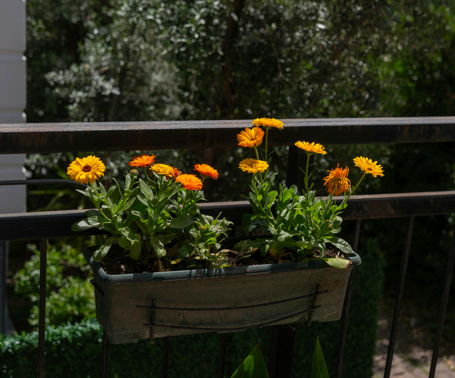 Balcon de location aménagé sans percer avec tapis extérieur, plantes posées et mobilier pliant